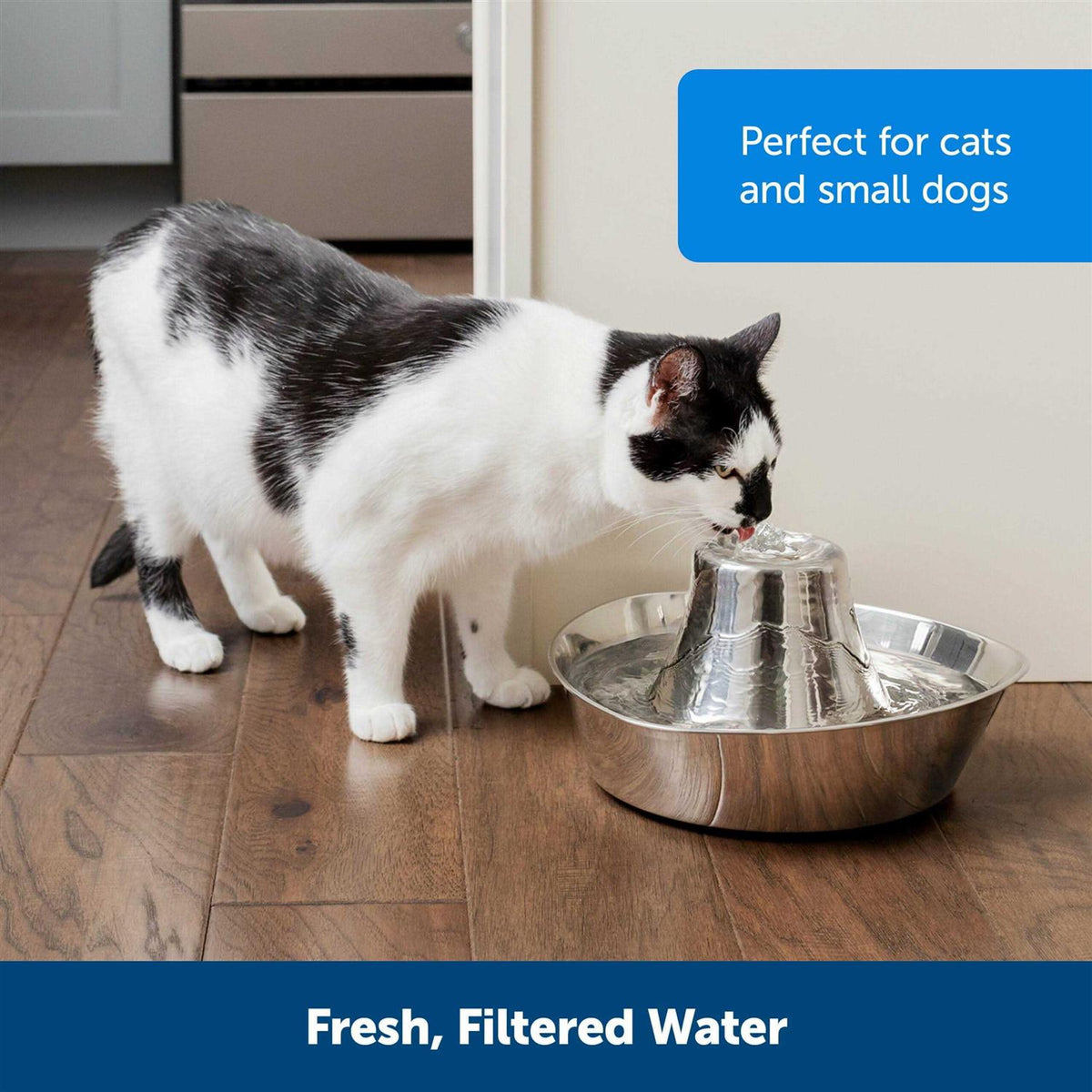 Stainless Pet Fountain A533