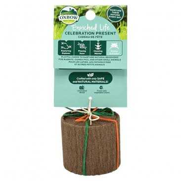 Enriched Life Celebration Cupcake K899509