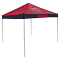 Economy Tailgate Canopy Tent B11269
