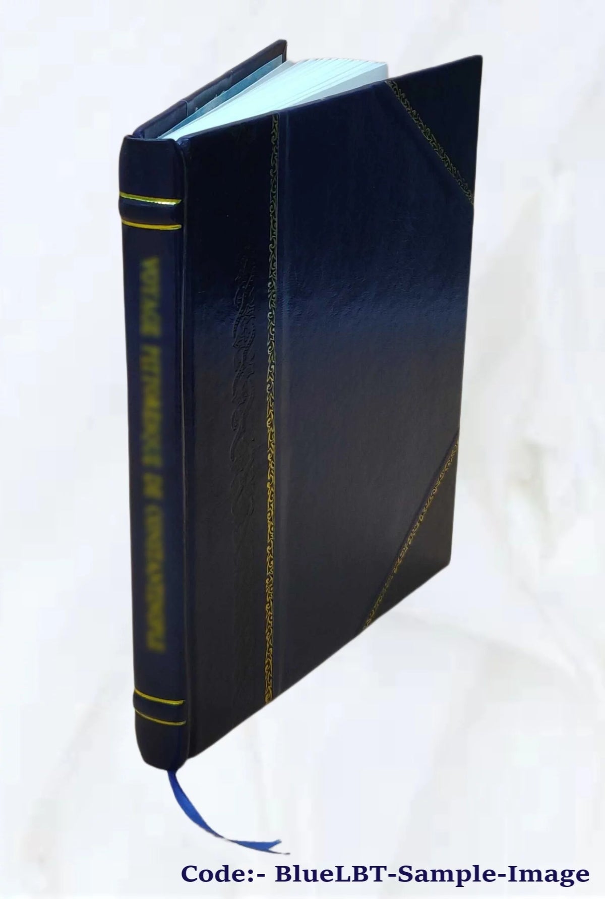 Leather Bound Book N16036