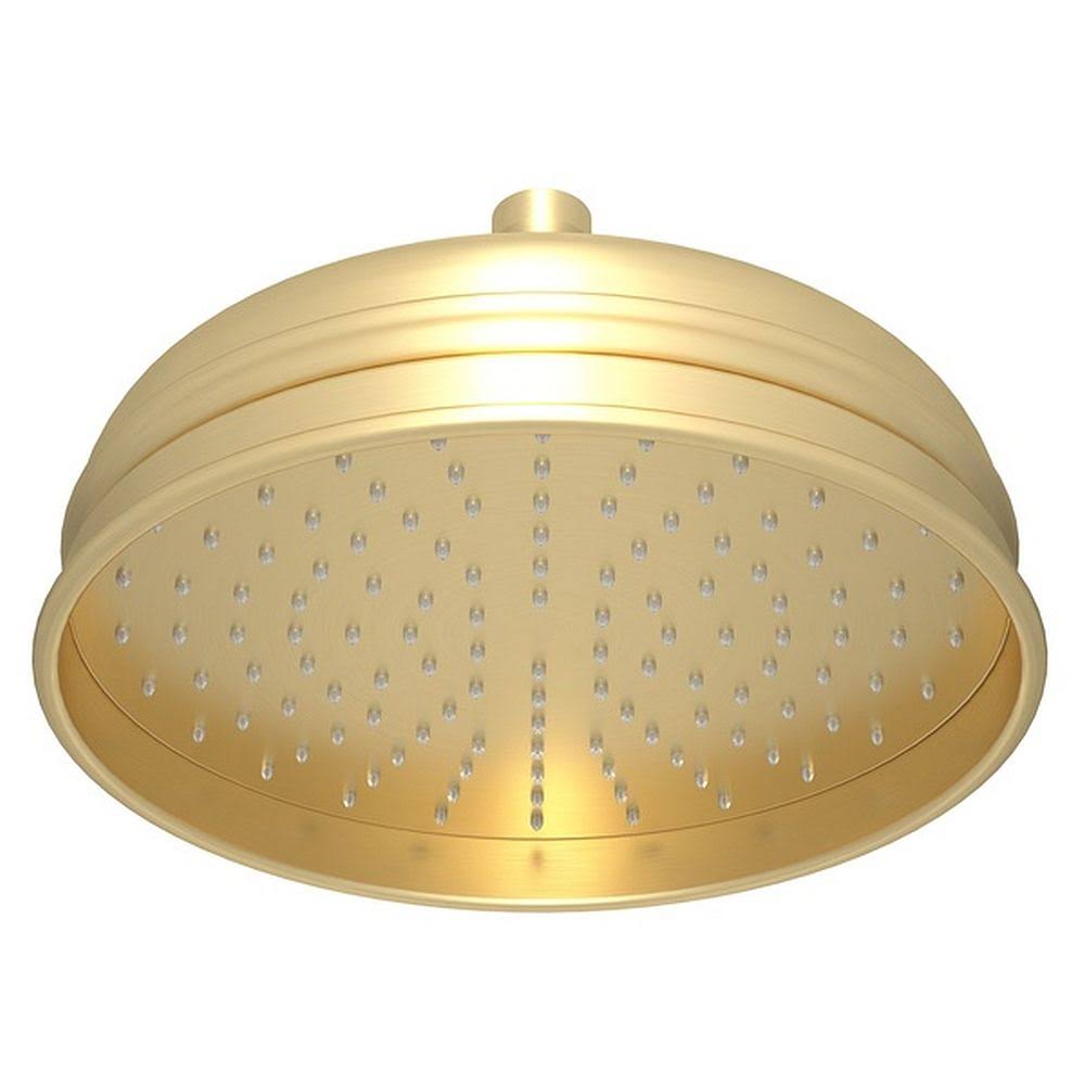 Satin Unlacquered Brass Showerhead J948212