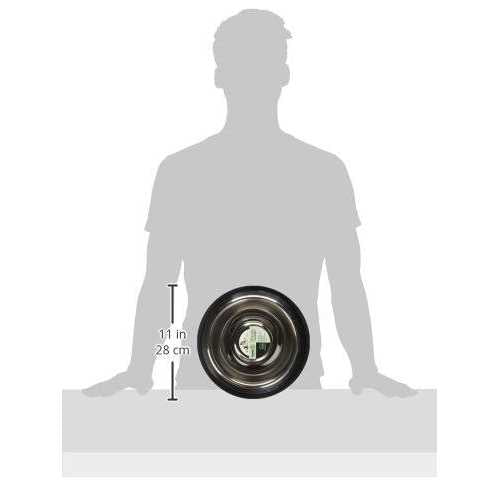 Stainless Steel Slow Feed Pet Bowl C698