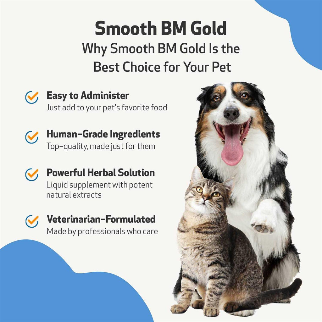 Smooth BM Gold Pet Supplies O526