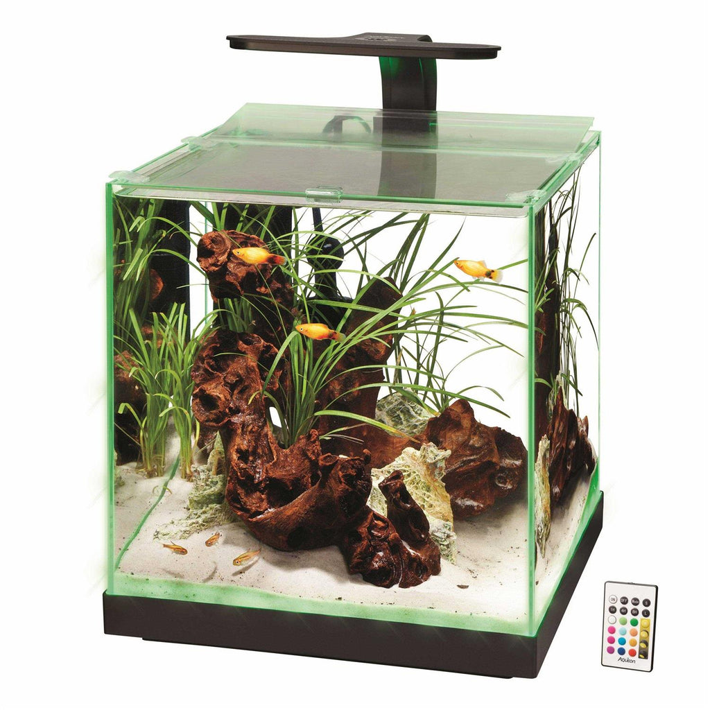 Aquarium X972