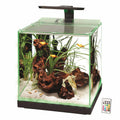 Aquarium X972