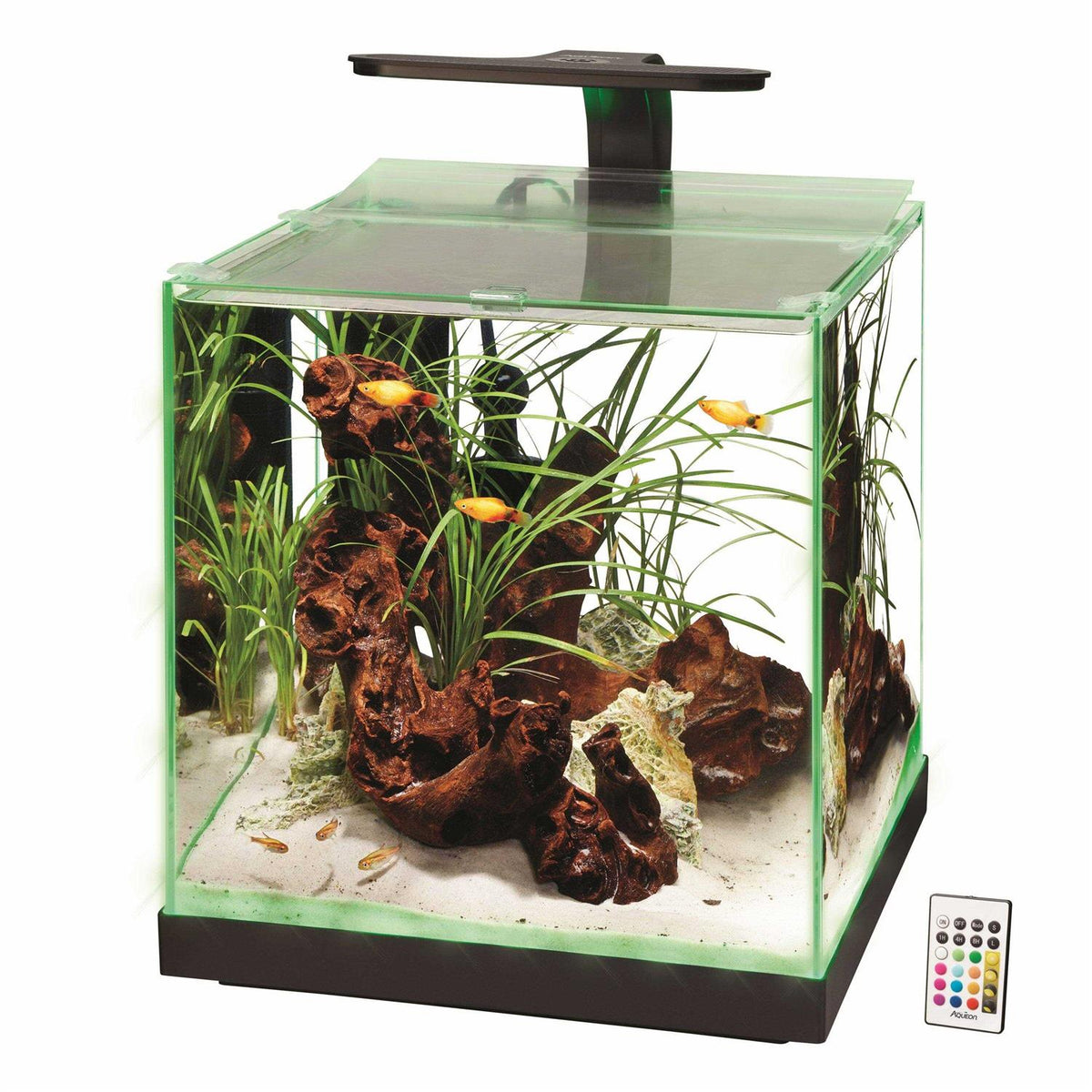 Aquarium X972