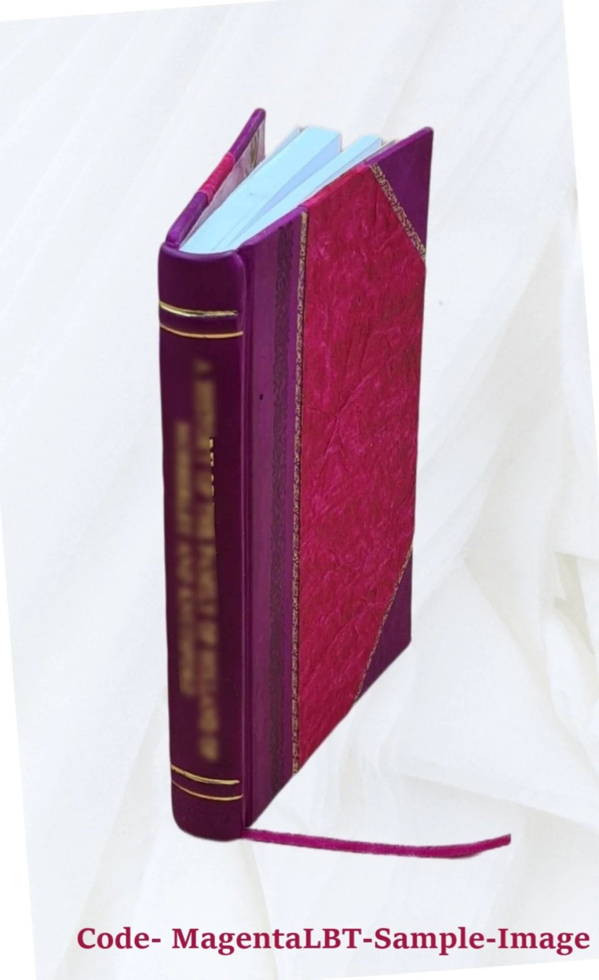 Leather Bound Book N16036