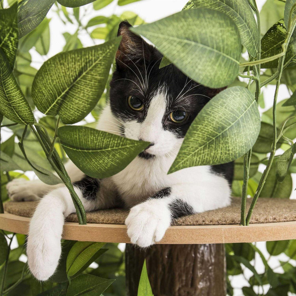 4ft Interchangeable Leaves Cat Activity Tree T654030