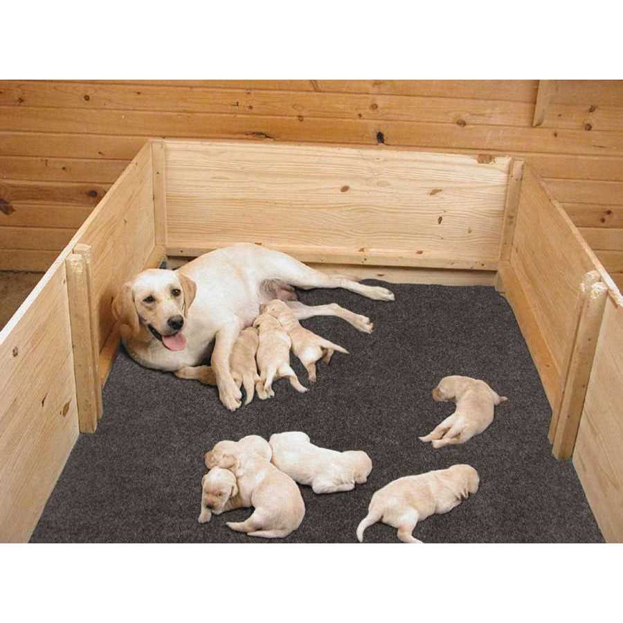 Whelping Box Liner Mat H96418
