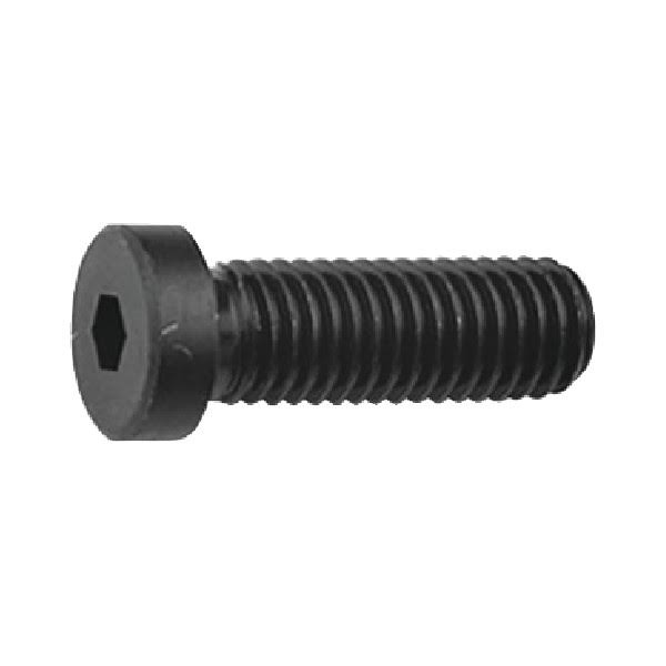 M6 x 10mm Low Head Cap Q90276