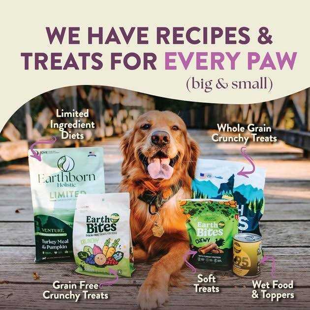 Unrefined Roasted Lamb with Ancient Grains & Superfoods Dry Dog Food Y7258