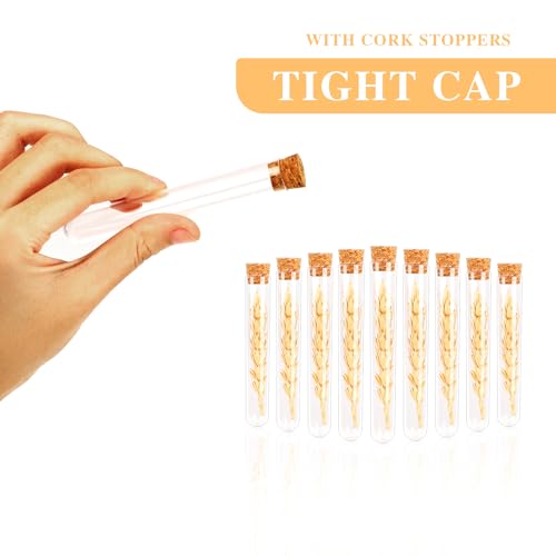 15 PCS 15ml Clear Plastic Test Tubes with Cork Stoppers C828