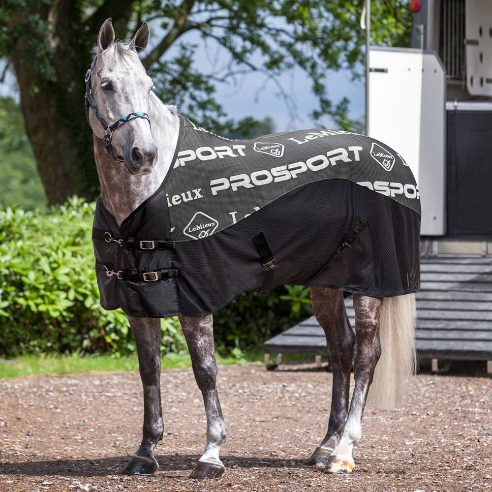 Black Cooler Q54268