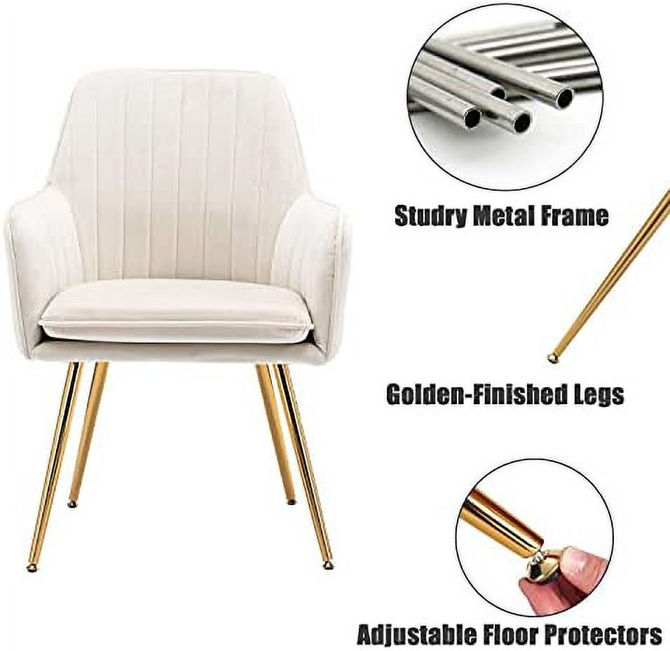 Beige Velvet Accent Chair B170612