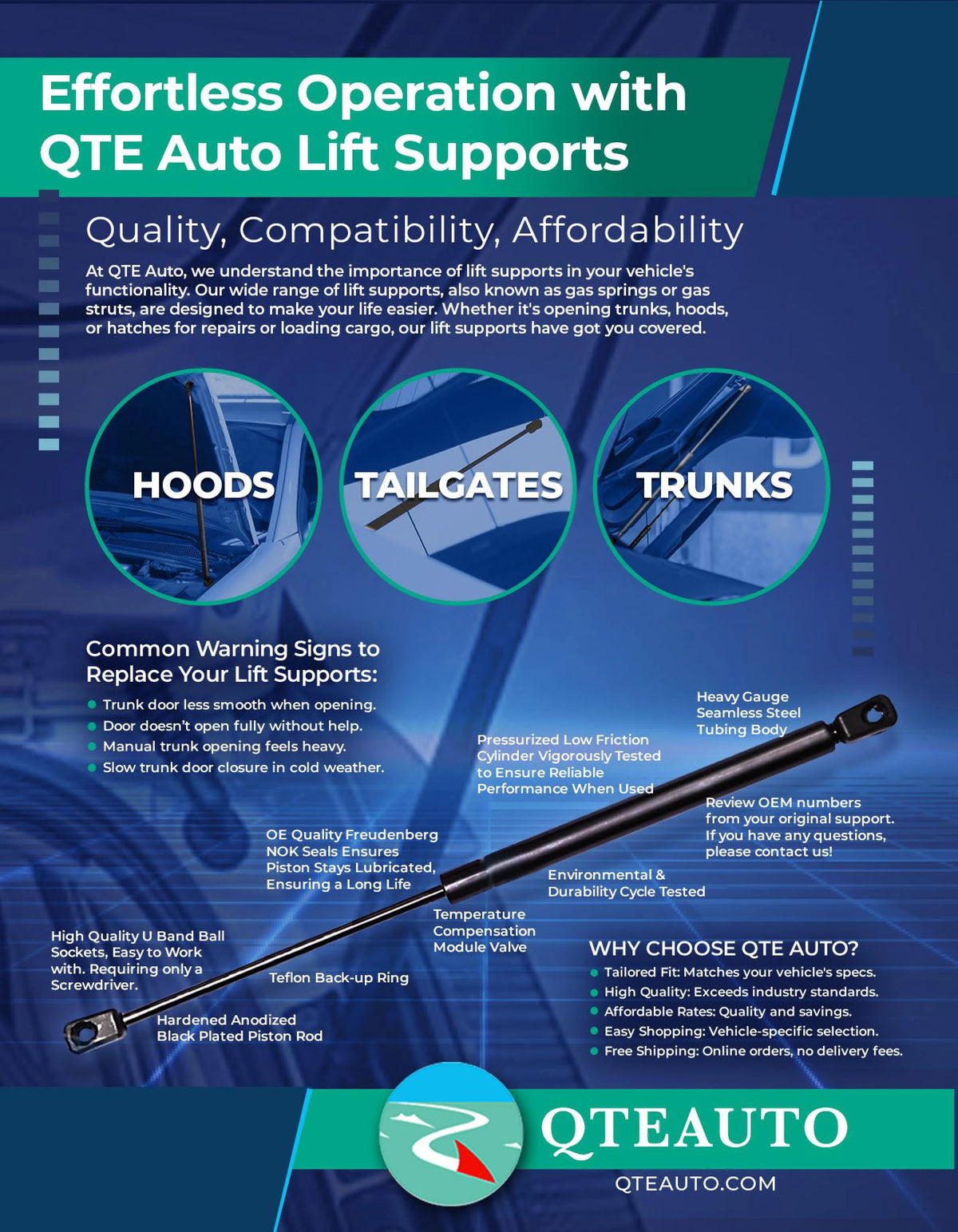 Pair of 2 Rear Liftgate Lift Support Y5962