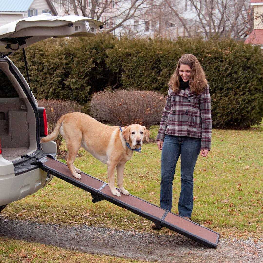 Tri-Fold Pet Ramp A561