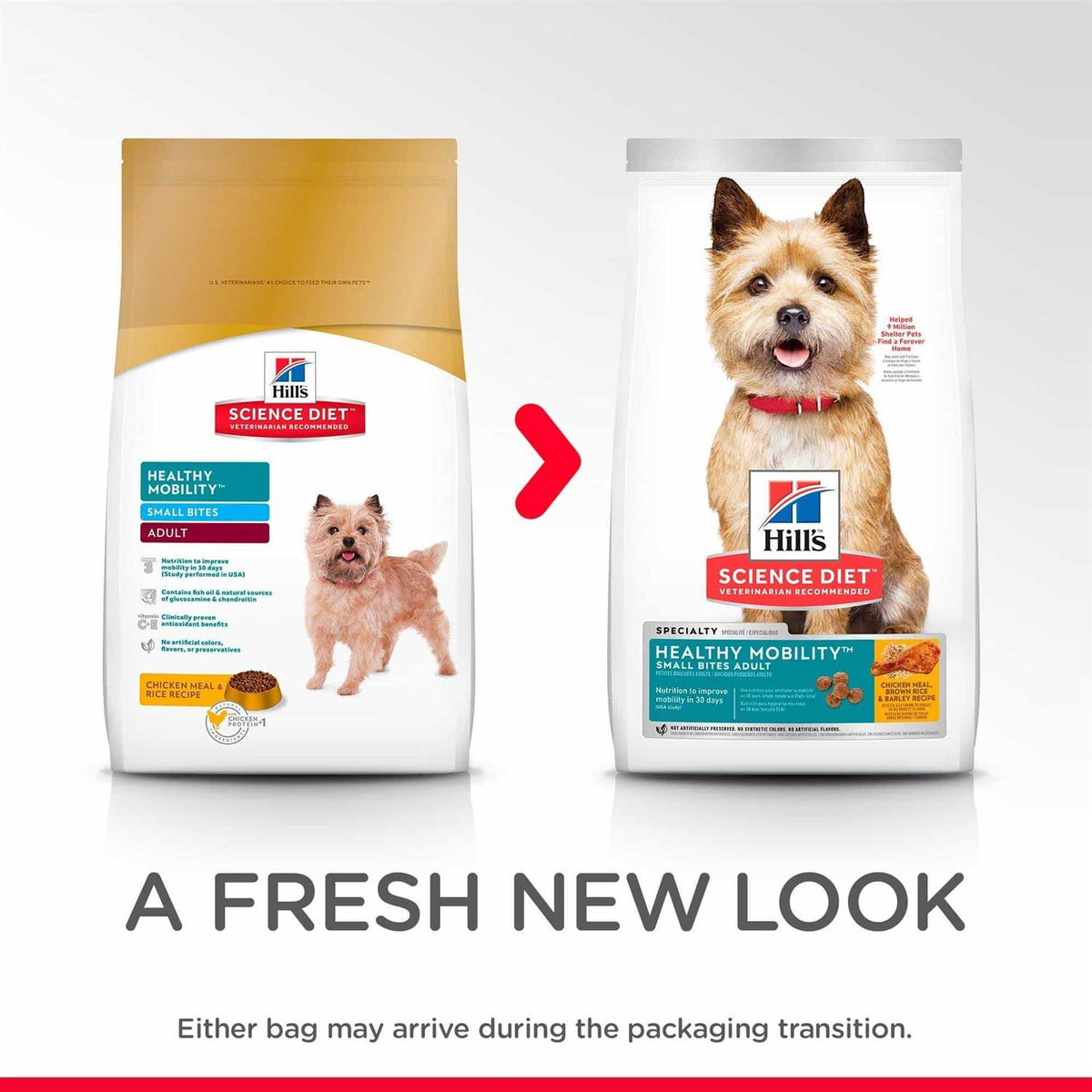 Dog Food G631