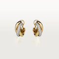 Earrings D103951