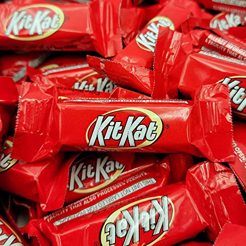 4 Pound Milk Chocolate Candy Bars J481