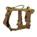 Nomad Harness Frame with GT Cobra Buckles U129
