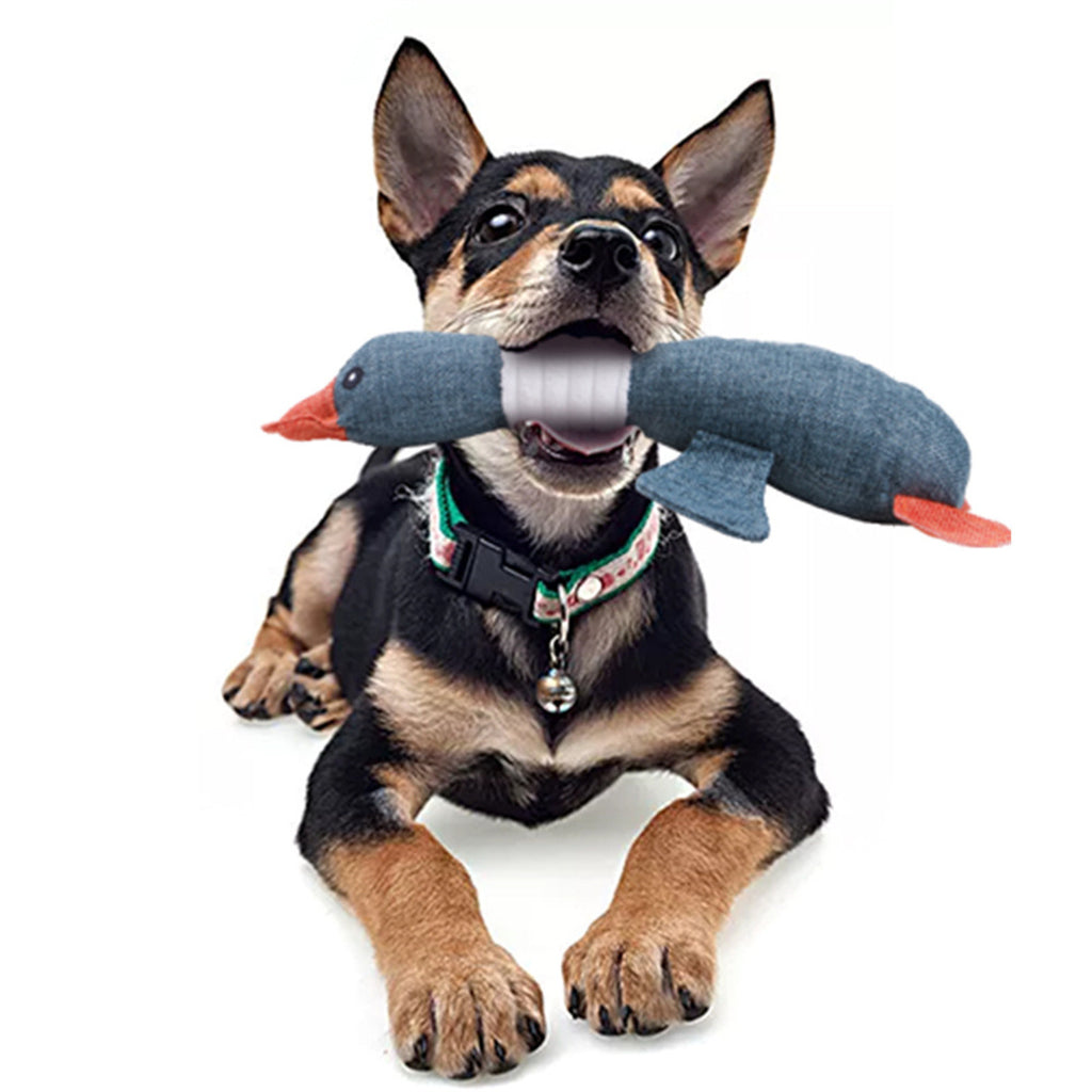 5 Pack Dog Squeaky Plush Toys A248