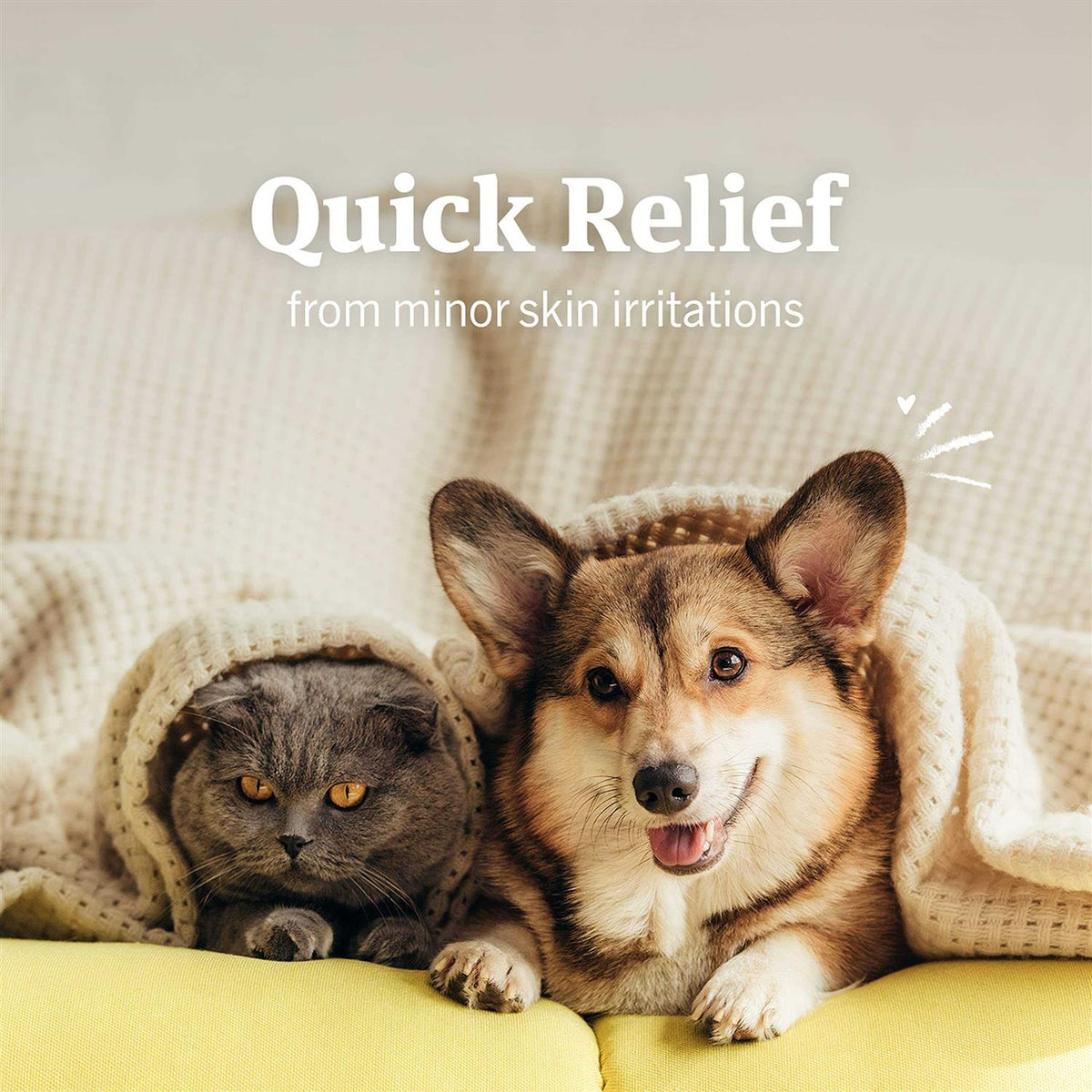 Hydrocortisone Spray for Dogs and Cats B612662