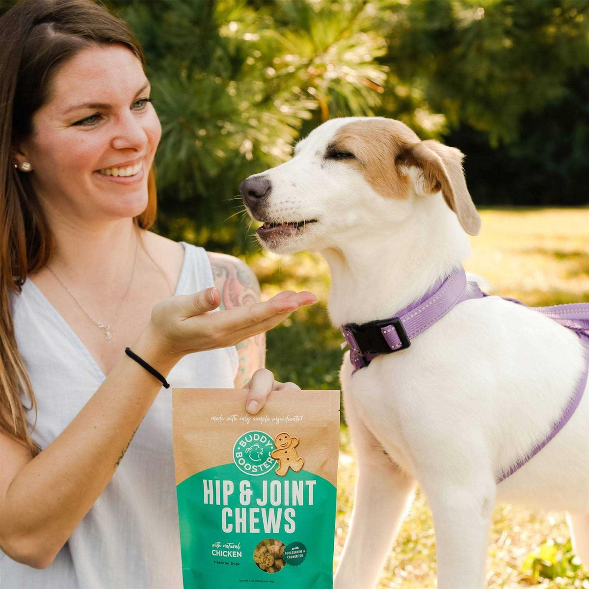 Chicken Hip & Joint Dog Treats O21743