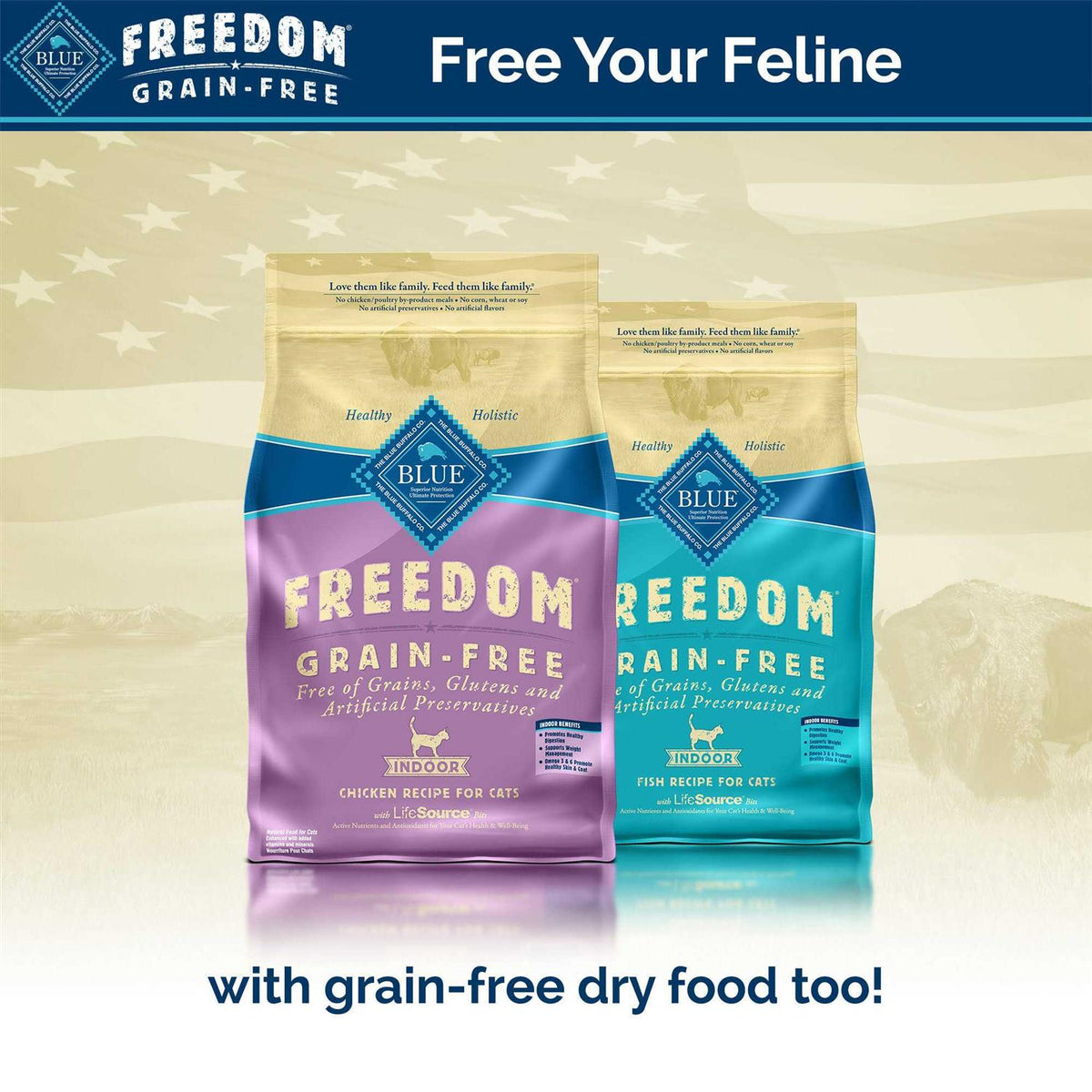 Grain-Free Indoor Canned Cat Food X675