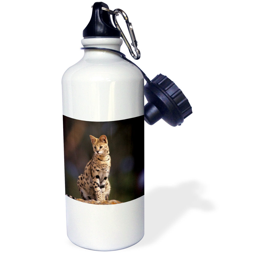 21oz Sports Water Bottle N360056