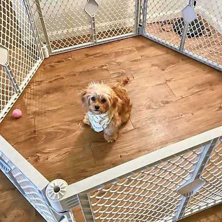 6-Panel Pet Pen Q345