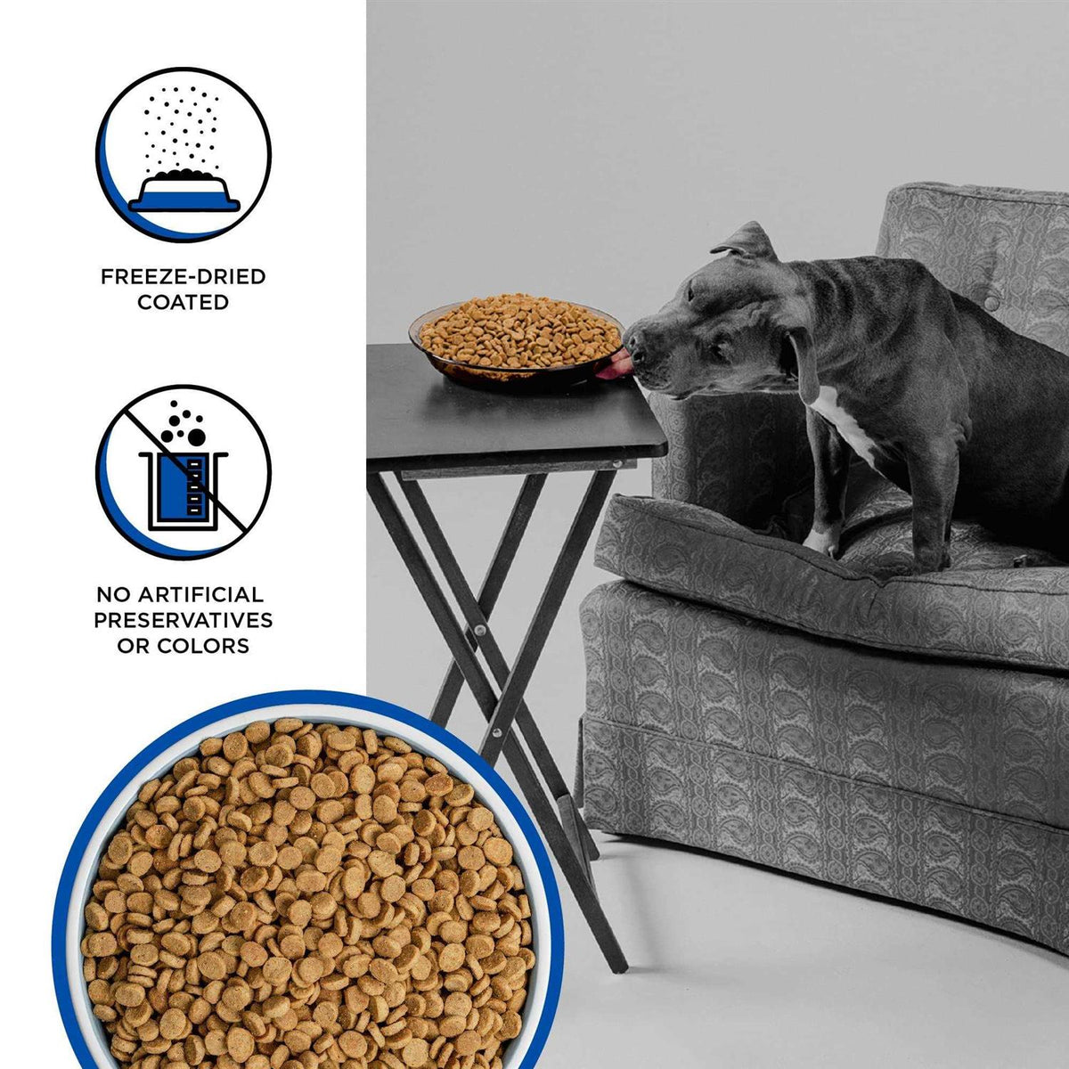 Dry Dog Food T823902