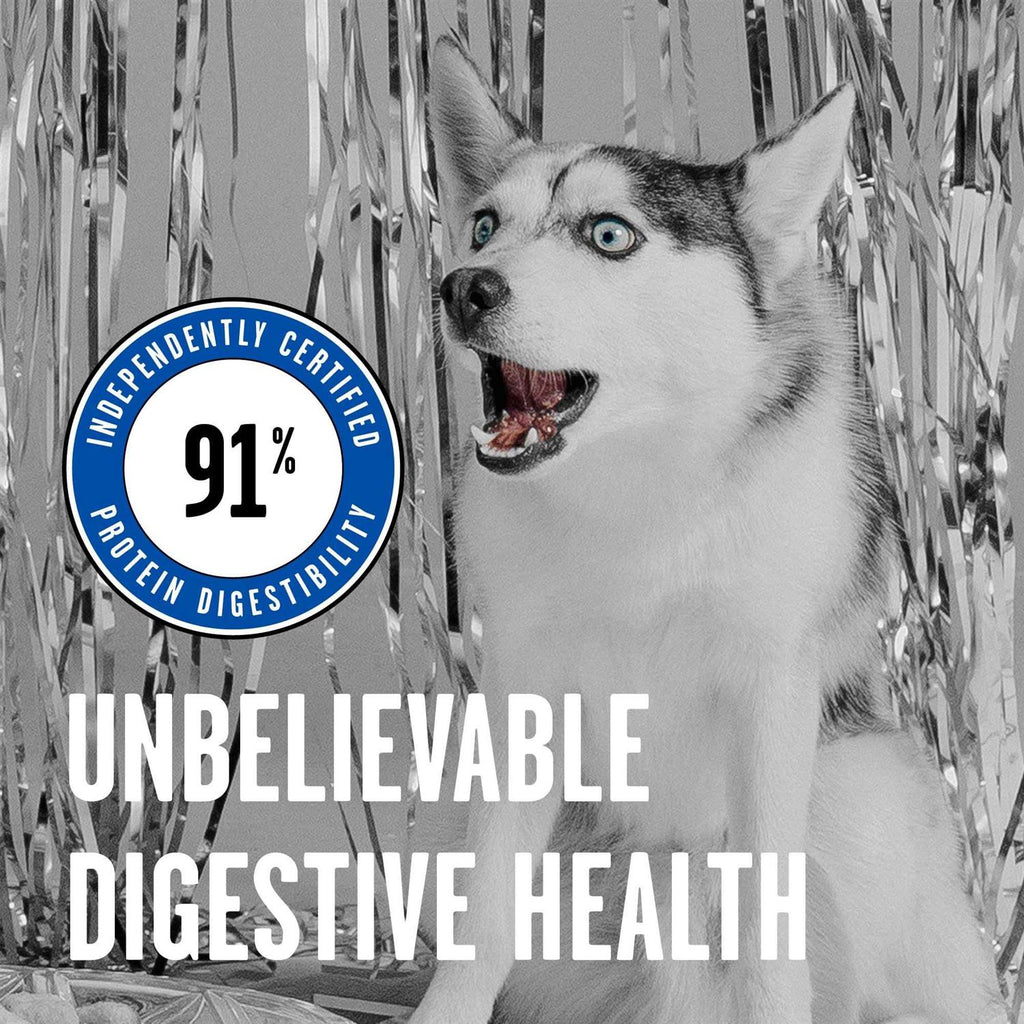 Dry Dog Food T823902
