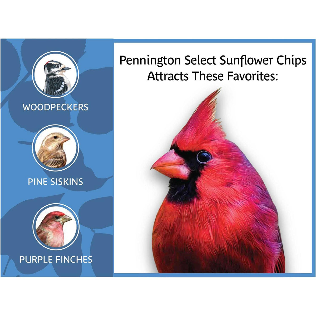Sunflower Chips Wild Bird Food and Seed U921513