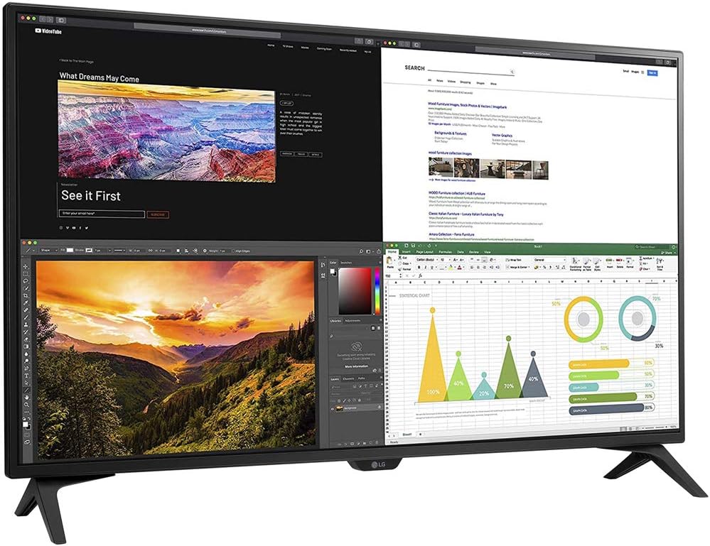 43 inch 4K UHD IPS USB-C HDR 10 Monitor E366
