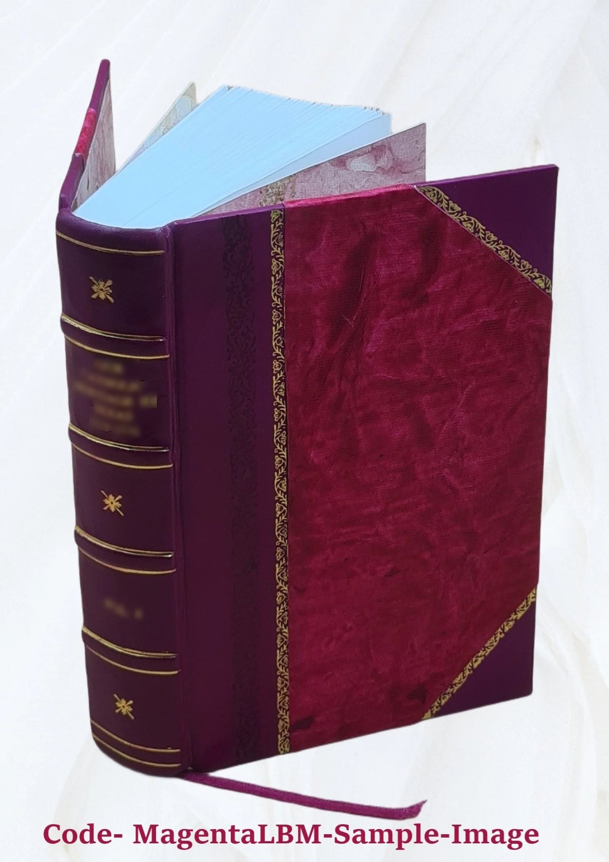 Commentaria in septem distinctiones de paenitentia Leather Bound R656075