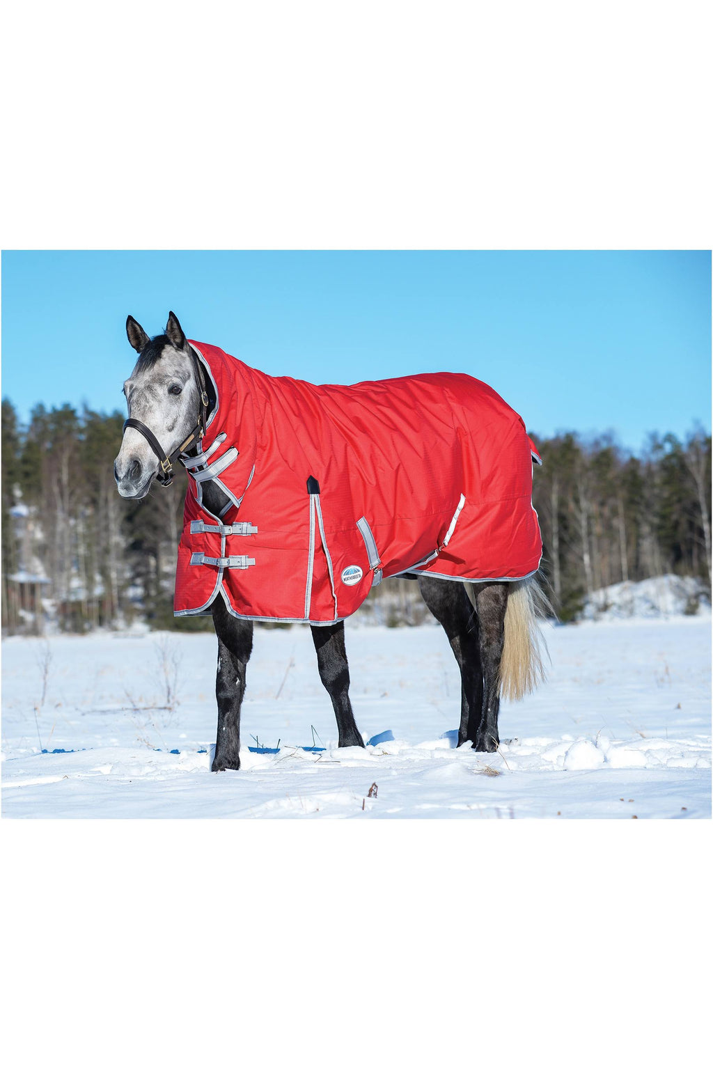 Red/Silver/Navy Heavy Combo Neck M620829