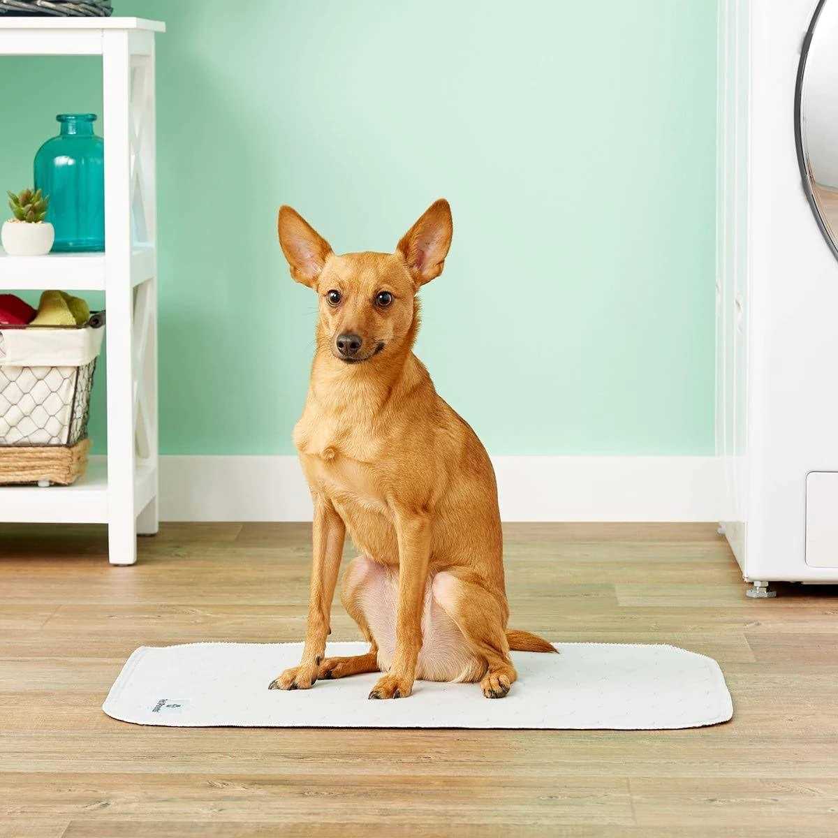 Washable Dog Pee Pads R58776