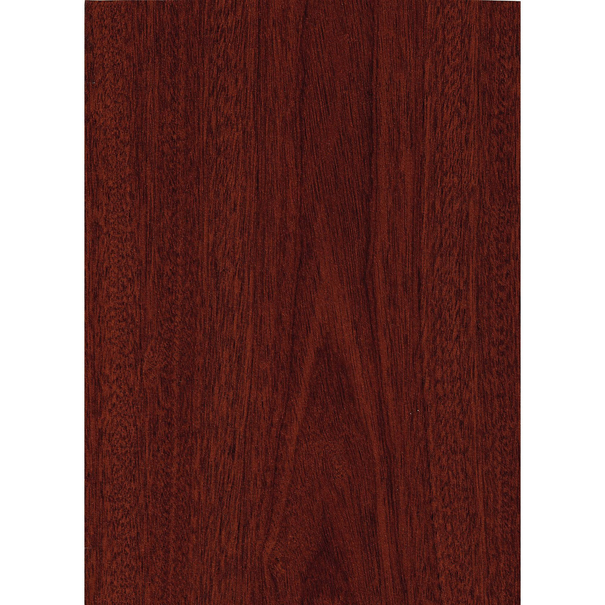 36W 5 Shelf Bookcase with Doors I823520