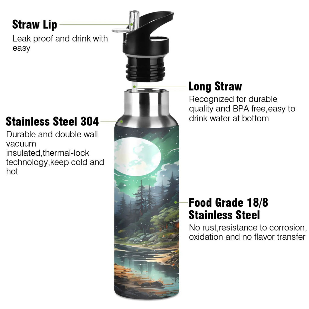 Stainless Steel Insulated Water Bottle with Straw Lid C133