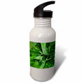 Green Abstract Fractal Sports Water Bottle 21 oz S891