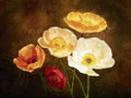 Poppy Perfection II Canvas M374
