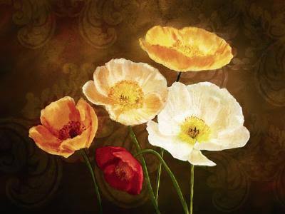 Poppy Perfection II Canvas M374