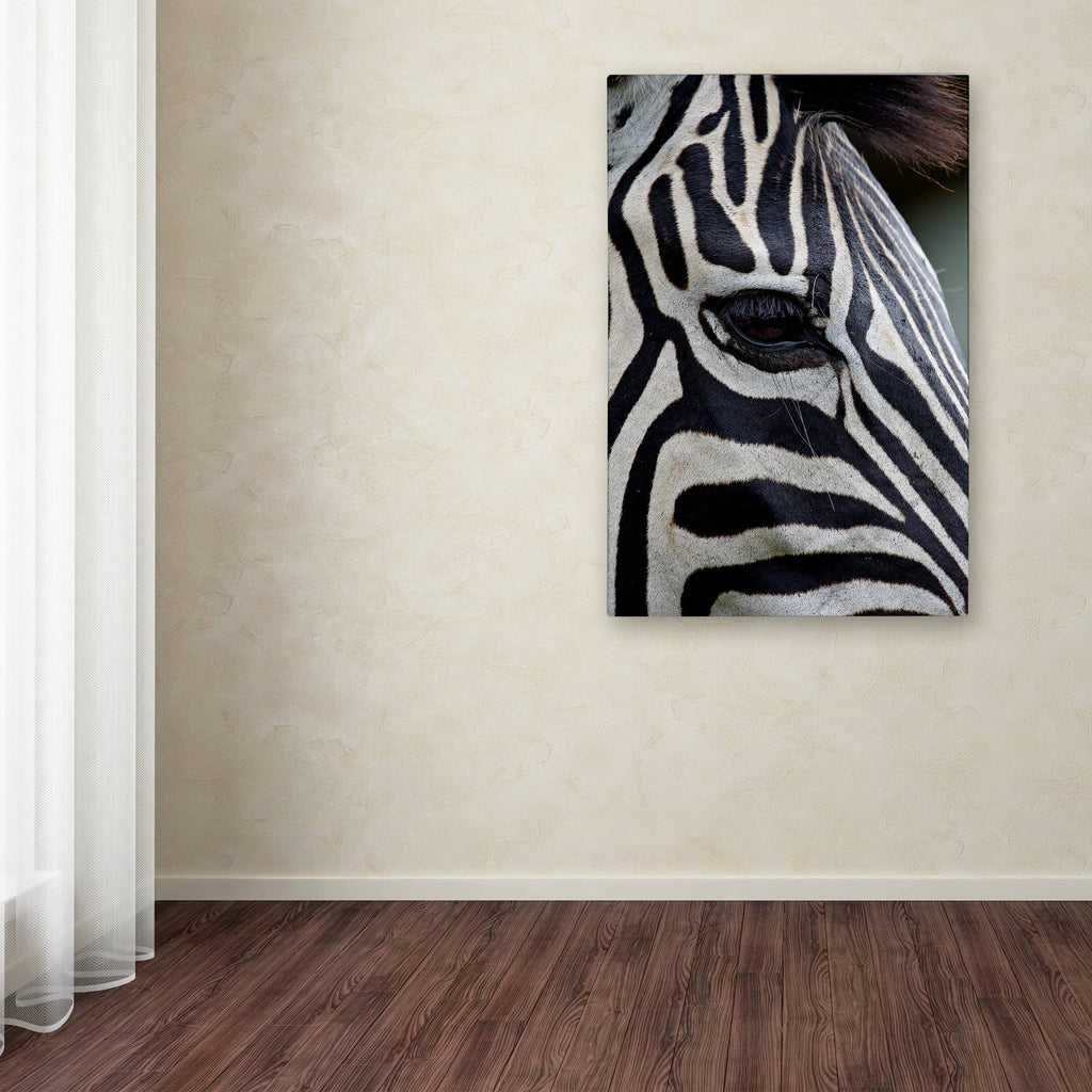 Zebras Canvas Art M472779