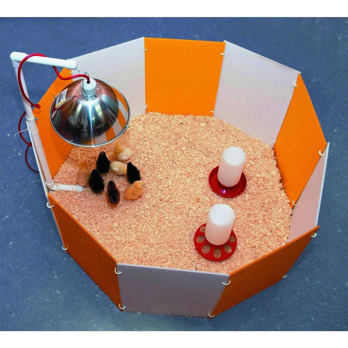 Baby Chick Starter Home Y247