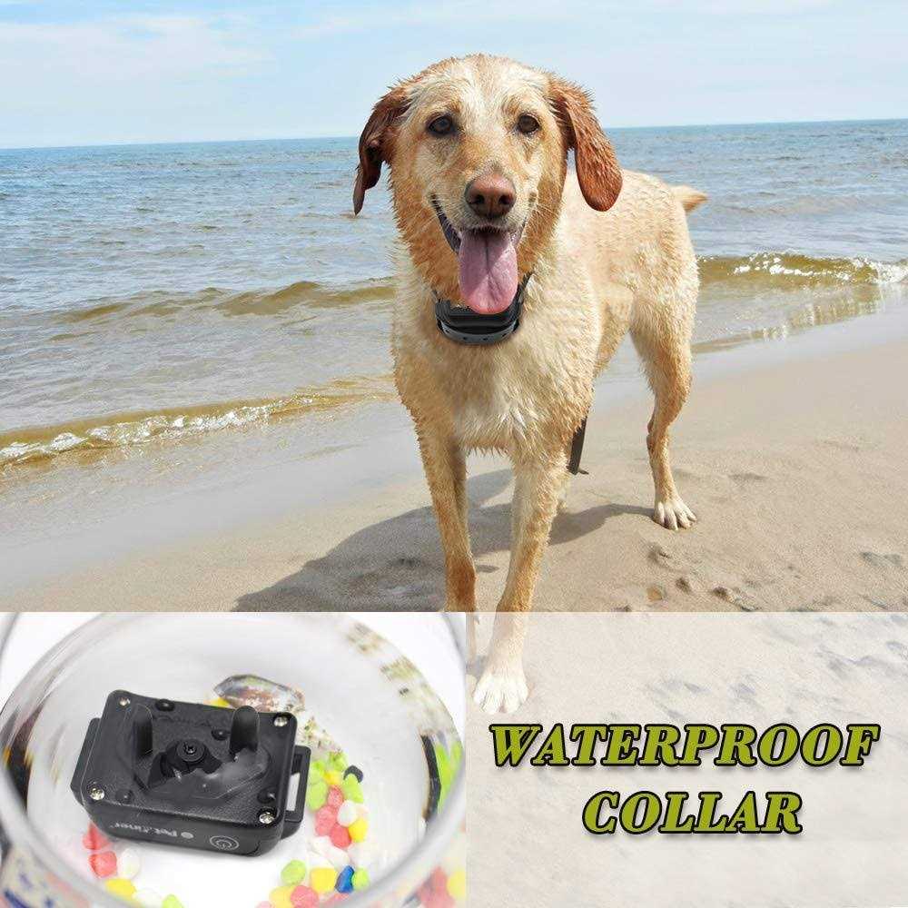 Rechargeable Waterproof Remote Dog Training Collar 330 yd H8961