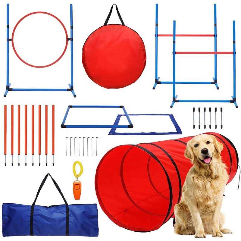 15 Piece Dog Agility Course Backyard Set Z772577