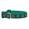 Dog Collar K973