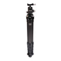 Carbon Fiber 5-Section Tripod with Ball Head and Quick Release Clamp D205