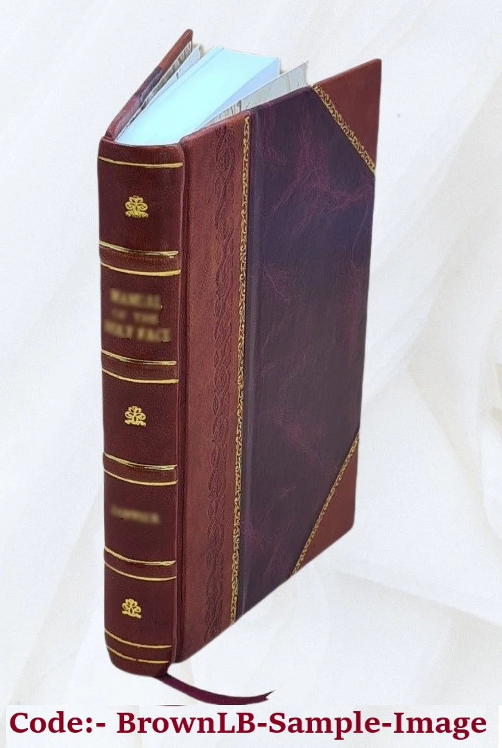 Leather Bound Book R16809