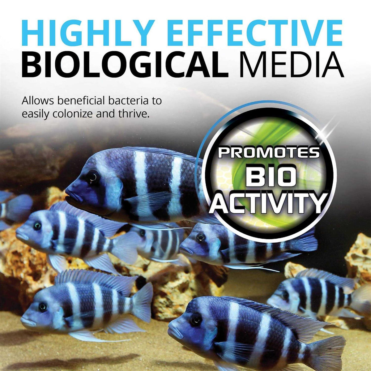 Bio Rings Media F181066